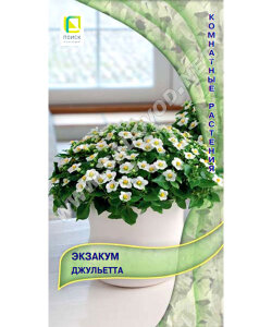 Экзакум Джульетта