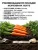 Морковь на ленте Самсон семена 
