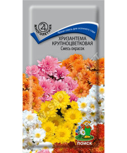 Хризантема крупноцветковая Смесь окрасок