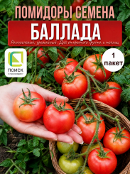 Томат Баллада Томат Баллада