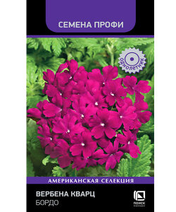 Вербена Кварц Бордо (Профи) Вербена Кварц Бордо (Профи)