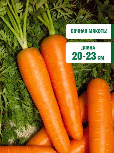 Морковь Осенний король семена 