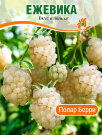 Ежевика Полар Берри