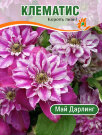 Клематис Май Дарлинг (крупноцветковый) Клематис Май Дарлинг (крупноцветковый)
