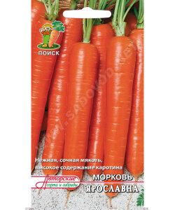 Морковь Ярославна Морковь Ярославна