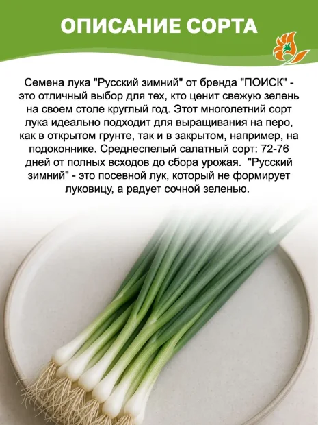 Лук батун Русский зимний семена 