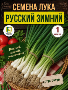 Лук батун Русский зимний