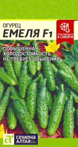 Огурец Емеля F1 Огурец Емеля F1