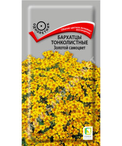 Бархатцы тонколистные Золотой Самоцвет Бархатцы тонколистные Золотой Самоцвет