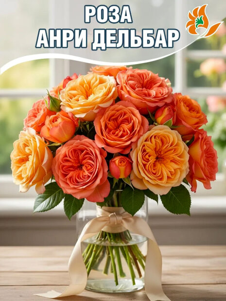 Роза Анри Дельбар