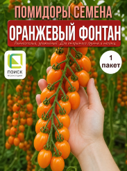 Томат Оранжевый Фонтан