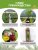 Можжевельник Пфитцериана Ауреа (средний)