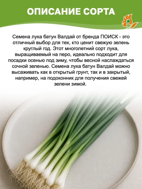 Лук батун Валдай семена 