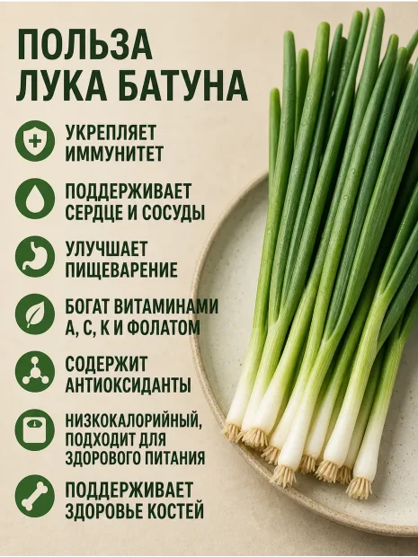 Лук батун Валдай семена 