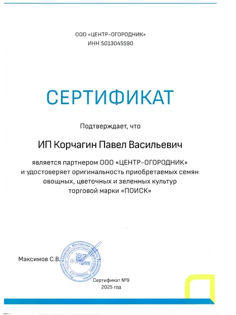 Лук батун Валдай семена 