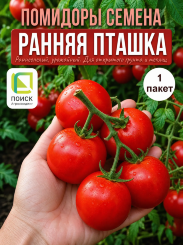 Томат Ранняя Пташка Томат Ранняя Пташка