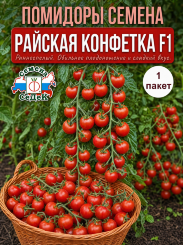 Томат Райская конфетка F1 Томат Райская конфетка F1