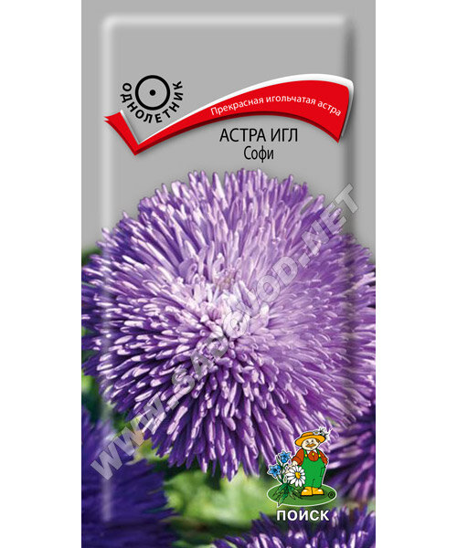 Астра Игл Софи