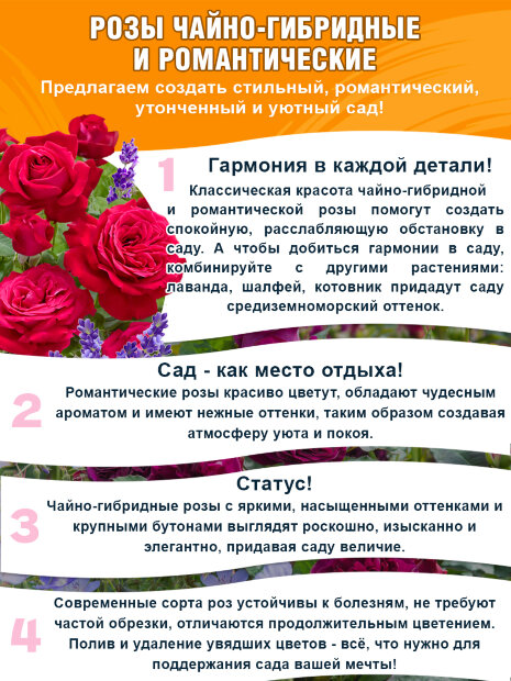 Роза Кордес Джубили