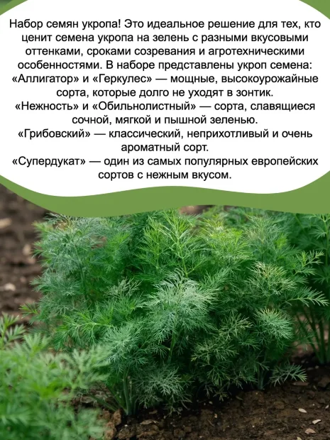 Наборы овощей "Укроп" семена 