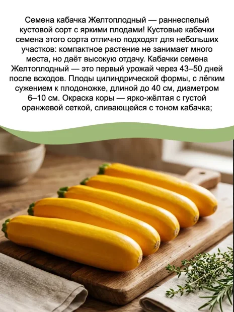 Набор семян кабачков №2 семена 