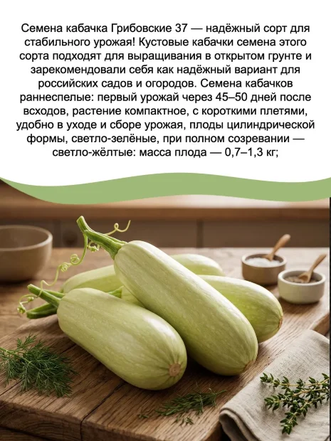 Набор семян кабачков №2 семена 