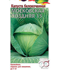 Капуста Московская поздняя 15 (белокочанная) Капуста Московская поздняя 15 (белокочанная)