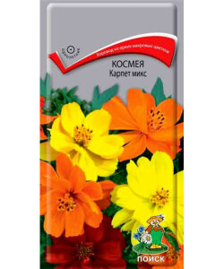 Космея Карпет Микс Космея Карпет Микс