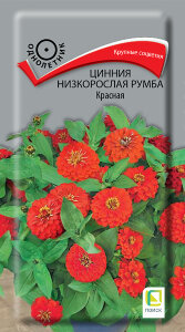 Цинния низкорослая Румба Красная Цинния низкорослая Румба Красная