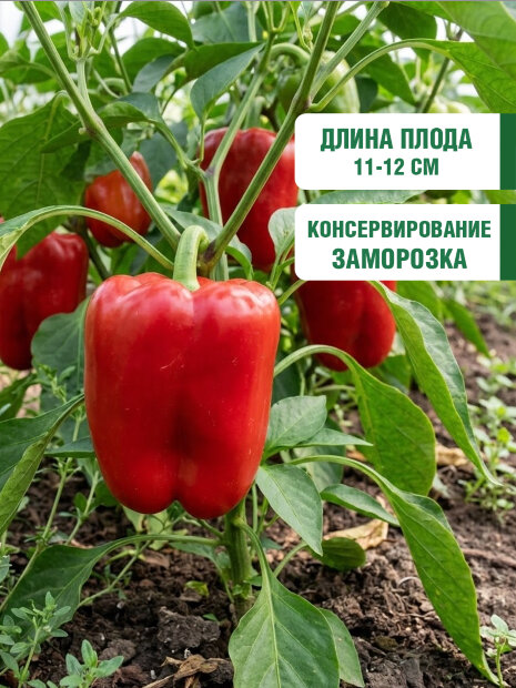 Перец сладкий Геракл  семена 