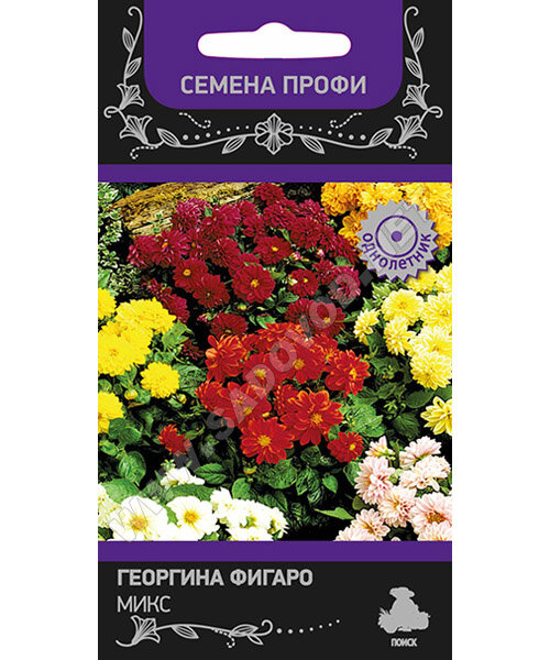 Георгина Фигаро Микс (Профи) семена
