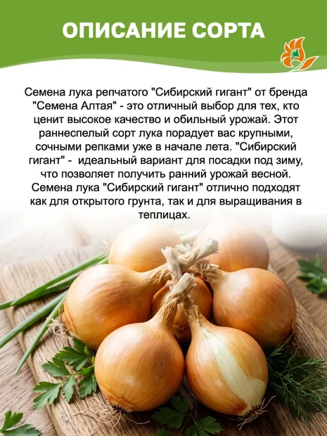 Лук репчатый Сибирский Гигант семена 