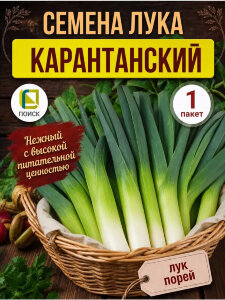 Лук порей Карантанский