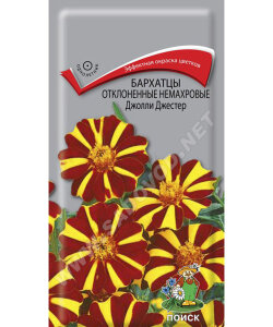 Бархатцы отклоненные Джолли Джестер Бархатцы отклоненные Джолли Джестер