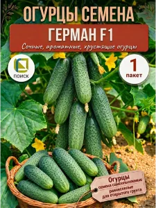 Огурец Герман F1