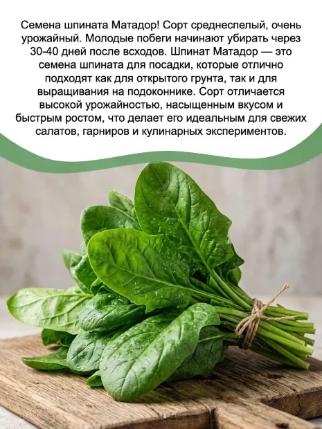 Шпинат Матадор семена 