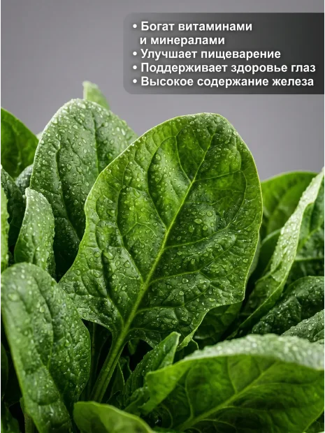 Шпинат Матадор семена 